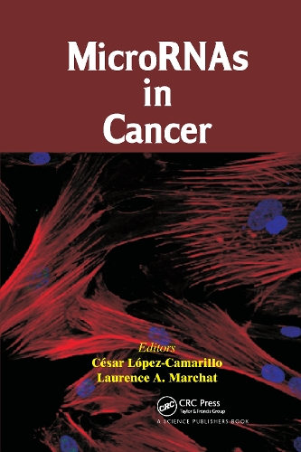 Бумажная книга «MicroRNAs in Cancer» - фото №1