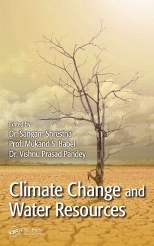 Паперова книга «Climate Change and Water Resources» - фото №1