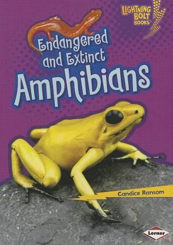 Паперова книга «Endangered and Extinct Amphibians», автор Кендіс Ренсом - фото №1