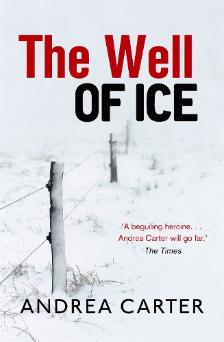 Бумажная книга «The Well of Ice», автор Андреа Картер - фото №1