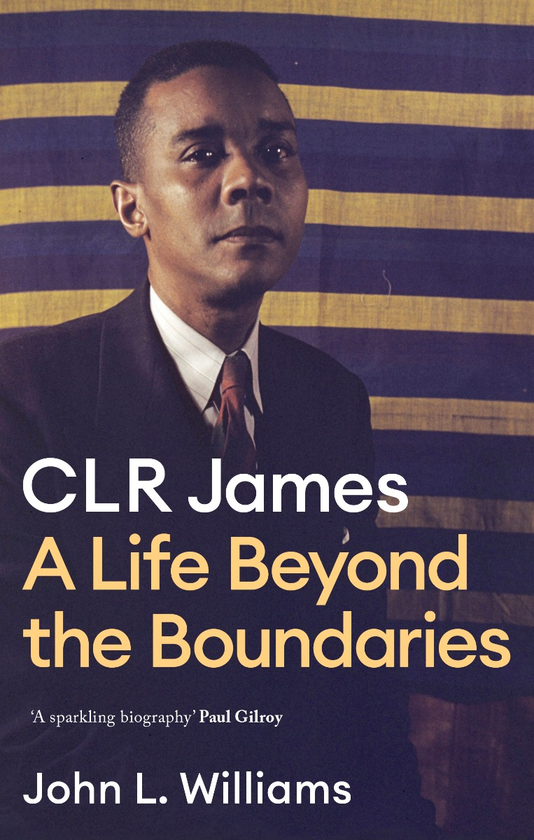 Бумажная книга «C.L.R. James. A Life Beyond the Boundaries», автор Джон Уильямс - фото №1
