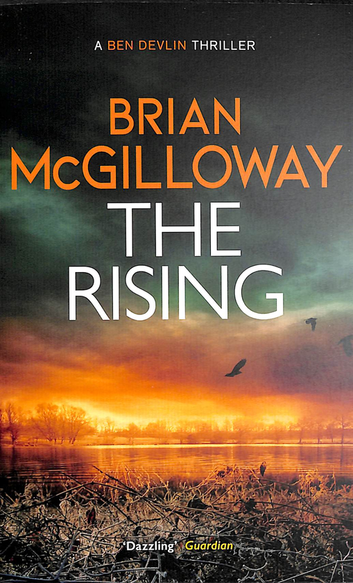 Паперова книга «The Rising», автор Брайан МакГілловей - фото №1