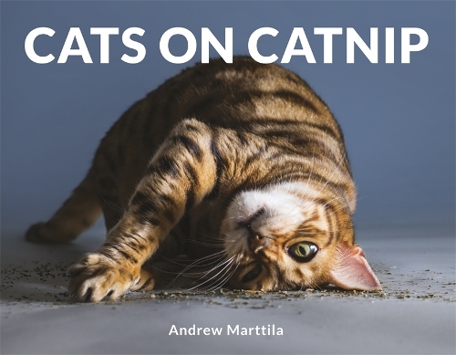 Бумажная книга «Cats on Catnip», автор Эндрю Марттила - фото №1