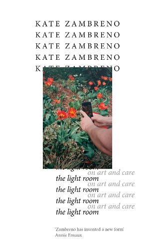 Бумажная книга «The Light Room», автор Кейт Замбрено - фото №1