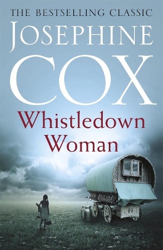 Паперова книга «Whistledown Woman: An evocative saga of family, devotion and secrets», автор Джозефіна Кокс - фото №1