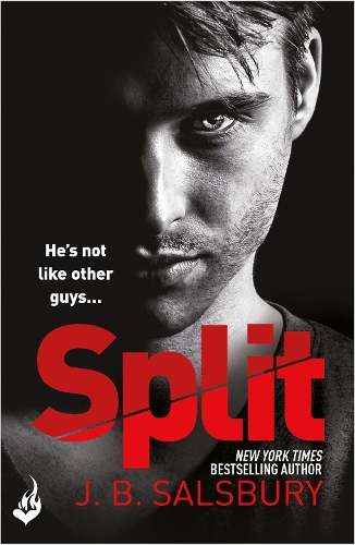 Паперова книга «Split: A powerful, addictive love story with a twist...», автор Дж. Б. Солсбері - фото №1