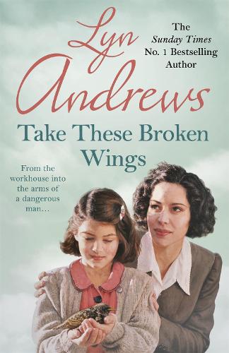 Бумажная книга «Take these Broken Wings: Can she escape her tragic past?», автор Лин Эндрюс - фото №1