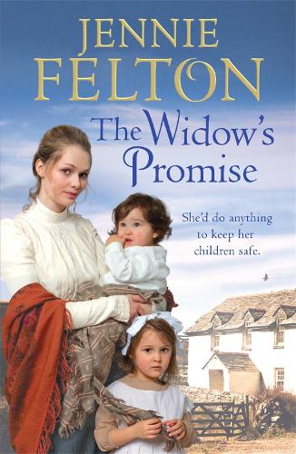 Бумажная книга «The Widow's Promise: The fourth captivating saga in the beloved Families of Fairley Terrace series», автор Дженни Фелтон - фото №1