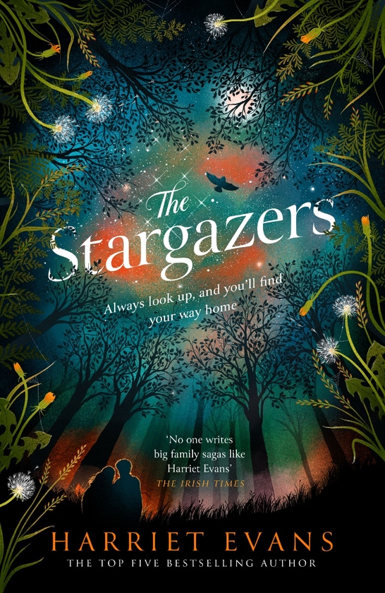 Паперова книга «The Stargazers», автор Гаррієт Еванс - фото №1