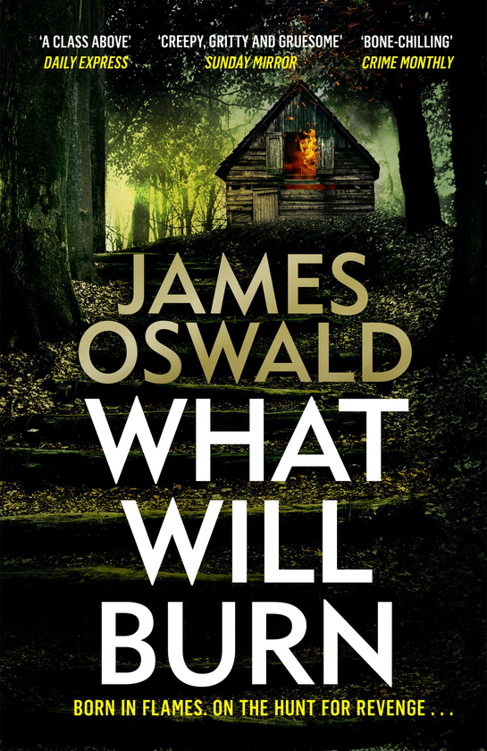 Бумажная книга «What Will Burn», автор Джеймс Освальд - фото №1