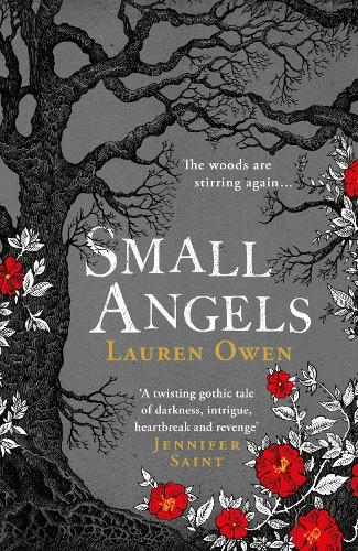 Бумажная книга «Small Angels: 'A twisting gothic tale of darkness, intrigue, heartbreak and revenge' Jennifer Saint», автор Лорен Оуэн - фото №1