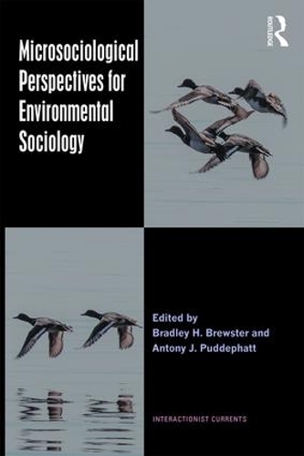 Паперова книга «Microsociological Perspectives for Environmental Sociology» - фото №1