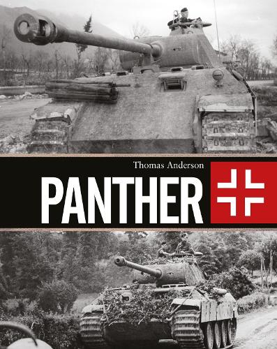 [object Object] «Panther», автор Томас Андерсон - фото №1