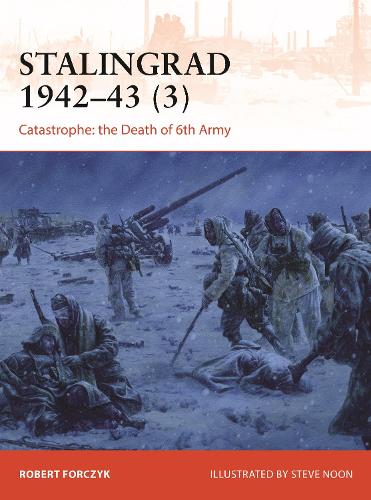 Бумажная книга «Stalingrad 1942–43 (3): Catastrophe: the Death of 6th Army», автор Роберт Форчик - фото №1