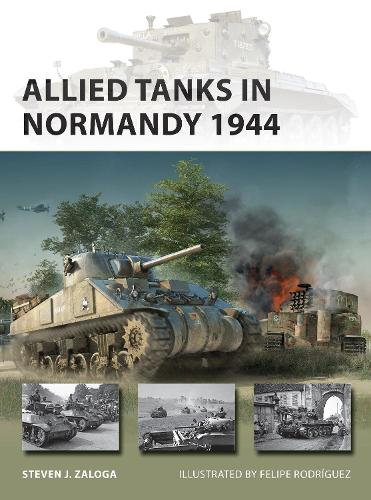 [object Object] «Allied Tanks in Normandy 1944», автор Стивен Залога - фото №1