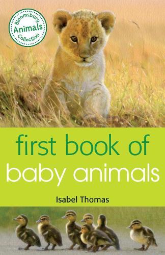Бумажная книга «First Book of Baby Animals», автор Изабель Томас - фото №1