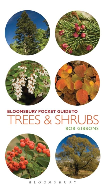 Паперова книга «Pocket Guide to Trees and Shrubs» - фото №1