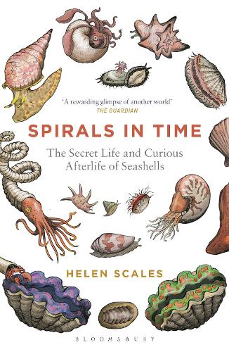 Паперова книга «Spirals in Time: The Secret Life and Curious Afterlife of Seashells», автор Гелен Скейлз - фото №1