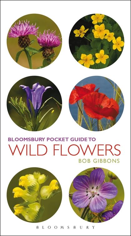 Бумажная книга «Pocket Guide To Wild Flowers» - фото №1