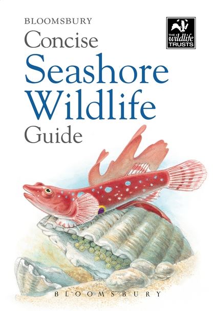 Паперова книга «Concise Seashore Wildlife Guide» - фото №1
