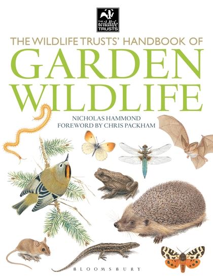 Паперова книга «The Wildlife Trusts Handbook Of Garden Wildlife» - фото №1