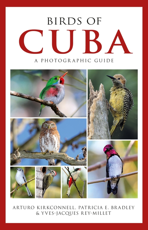 Бумажная книга «A Photographic Guide to the Birds of Cuba» - фото №1