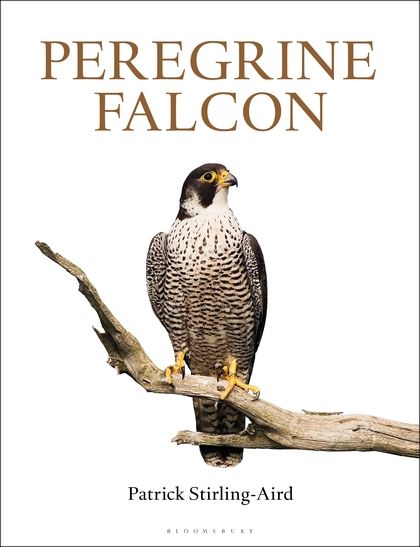 Паперова книга «Peregrine Falcon» - фото №1