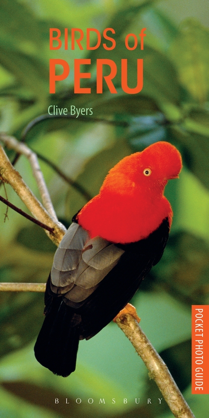 Бумажная книга «Birds of Peru», автор Клайв Байерс - фото №1