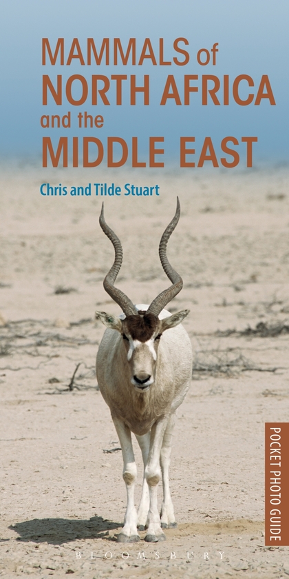 Бумажная книга «Mammals of North Africa and the Middle East», авторов Крис Стюарт, Тильда Стюарт - фото №1