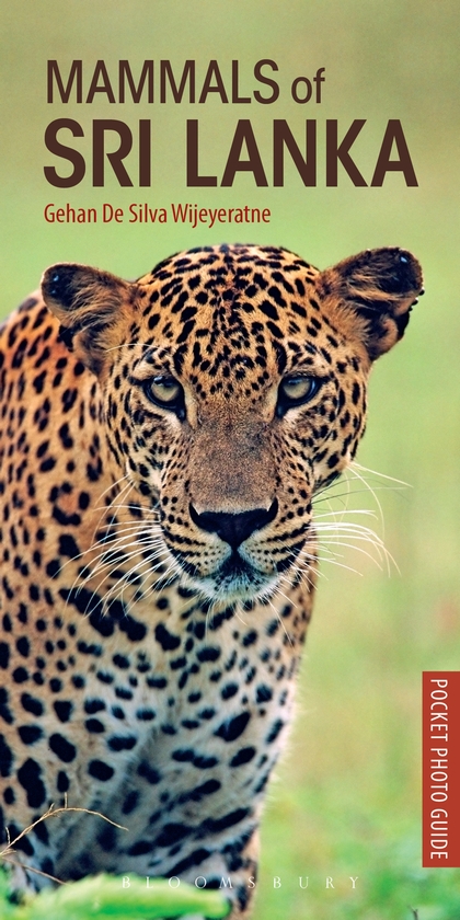 Паперова книга «Mammals of Sri Lanka» - фото №1