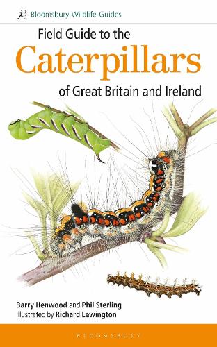 Паперова книга «Field Guide to the Caterpillars of Great Britain and Ireland», авторів Баррі Хенвуд, Філ Стерлінг - фото №1