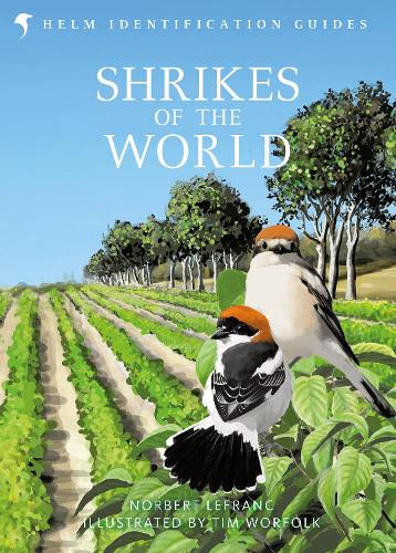 Паперова книга «Shrikes of the World», автор Норберт Лефранк - фото №1
