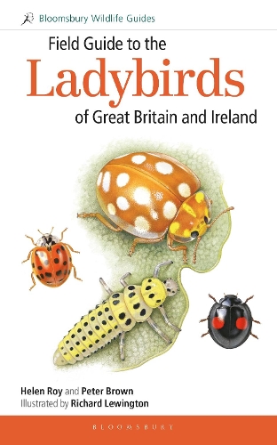 Паперова книга «Field Guide to the Ladybirds of Great Britain and Ireland», авторів Гелен Рой, Пітер Браун - фото №1