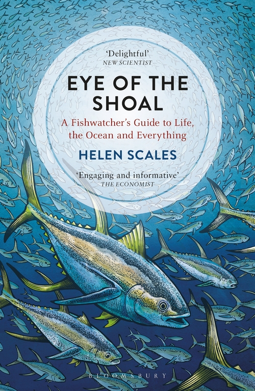 Паперова книга «Eye of the Shoal» - фото №1