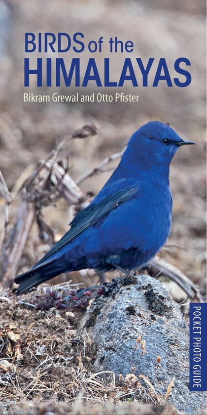 Бумажная книга «Birds of the Himalayas», автор Бикрам Гревал - фото №1