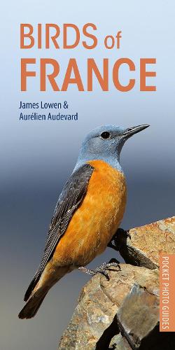 Бумажная книга «Birds of France», авторов Орельен Одевар, Джеймс Лоуэн - фото №1