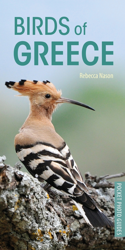 Паперова книга «Birds of Greece», автор Ребекка Нейсон - фото №1