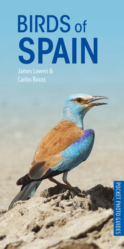 Паперова книга «Birds of Spain», авторів Джеймс Ловен, Карлос Бокос Гонсалес - фото №1