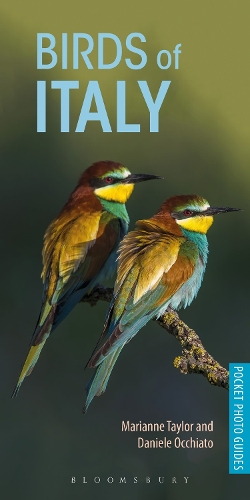 Бумажная книга «Birds of Italy», авторов Даниэле Оккьято, Марианна Тейлор - фото №1