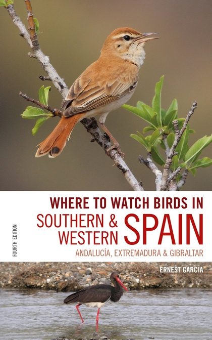 Бумажная книга «Where to Watch Birds in Southern and Western Spain» - фото №1
