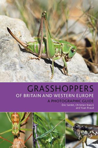 Бумажная книга «Grasshoppers of Britain and Western Europe: A Photographic Guide», авторов Кристиан Роэсти, Йоан Брауд, Эрик Сарде - фото №1