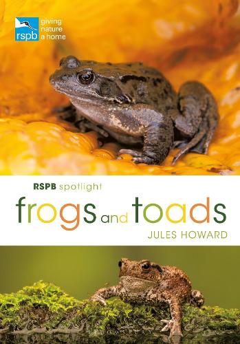 Паперова книга «RSPB Spotlight Frogs and Toads», автор Джулс Ховард - фото №1