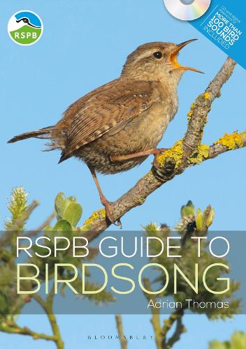Бумажная книга «RSPB Guide to Birdsong», автор Адриан Томас - фото №1