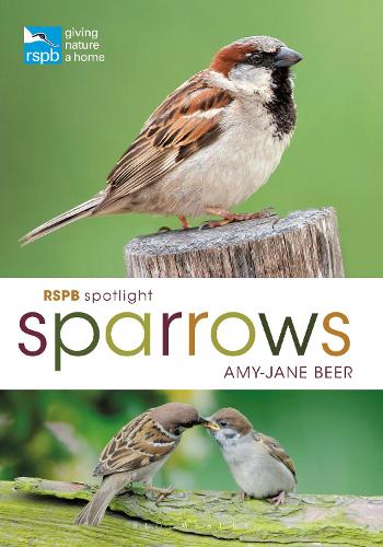 Паперова книга «RSPB Spotlight Sparrows», автор Емі-Джейн Бір - фото №1