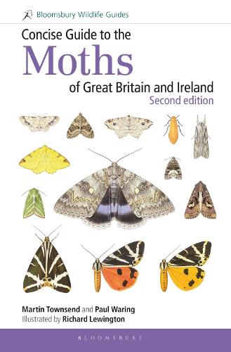 Паперова книга «Concise Guide to the Moths of Great Britain and Ireland: Second edition», авторів Мартін Таунсенд, Пол Ворінг - фото №1