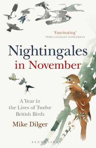 Бумажная книга «Nightingales in November: A Year in the Lives of Twelve British Birds», автор Майк Дилгер - фото №1