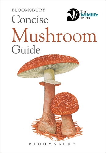 Бумажная книга «Concise Mushroom Guide», автор Bloomsbury - фото №1
