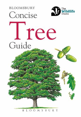 Бумажная книга «Concise Tree Guide», автор Bloomsbury - фото №1