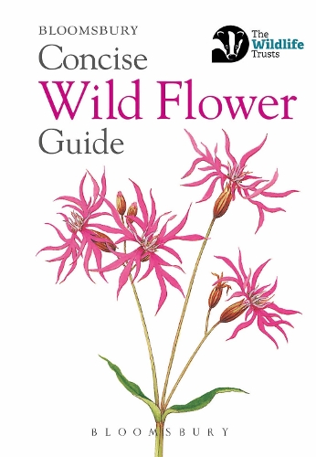 Бумажная книга «Concise Wild Flower Guide», автор Bloomsbury - фото №1