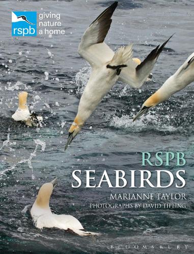 Бумажная книга «RSPB Seabirds», автор Марианна Тейлор - фото №1